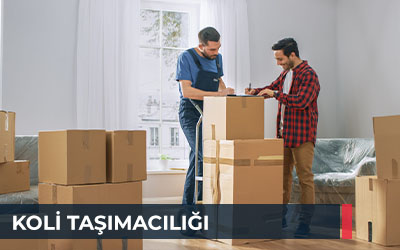 Koli Taşımacılığı